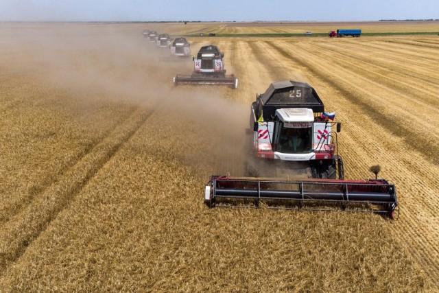 中国对俄罗斯小麦的政策